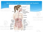 پاورپوینت بیماری های گوارشی 