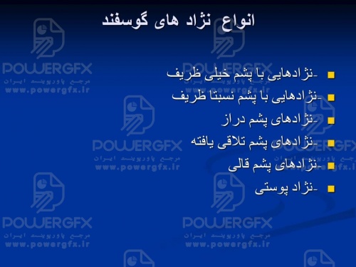 slide3_1638021722