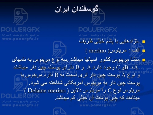 slide5_1657015187