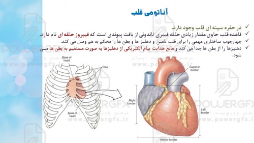 پاورپوینت آموزشی بخش3 فصل 9 گایتون- عضله قلبی (قلب به عنوان یک پمپ و عمل دریچه های قلبی)