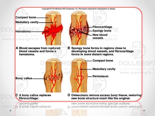 slide10_197716633