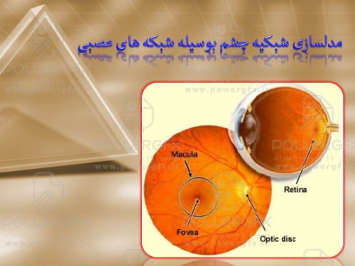 پاورپوینت شبکیه چشم