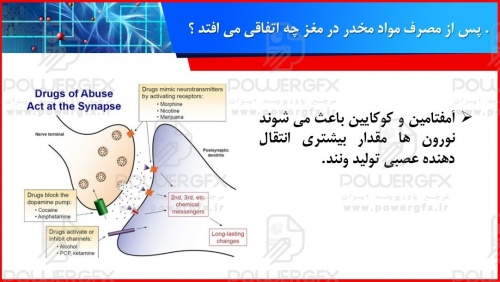 پاورپوینت تاثیر مواد مخدر بر مغز